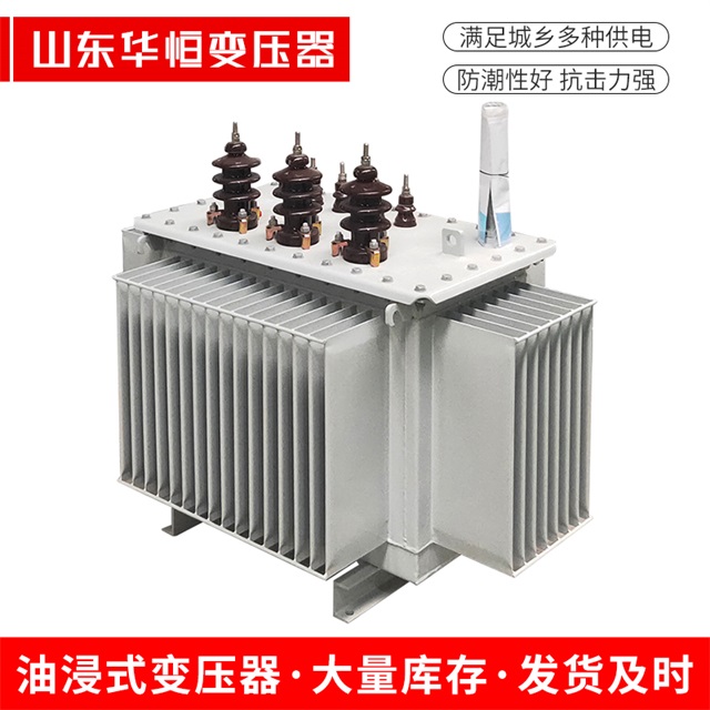 S13-10000/35宁河宁河宁河油浸式变压器厂家