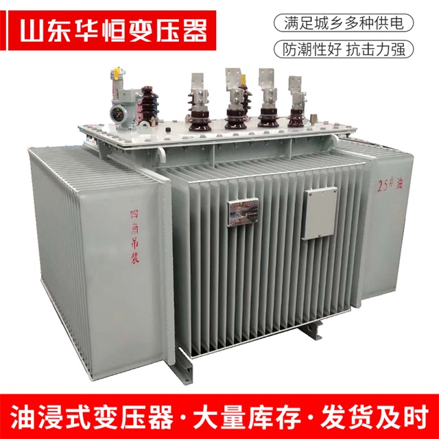 S13-10000/35宁河宁河宁河电力变压器厂家