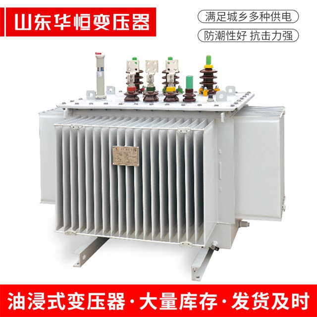 S13-10000/35宁河宁河宁河电力变压器